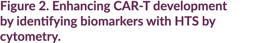 Figure 2. Enhancing CAR T development by identifying biomarkers with HTS by cytometry.